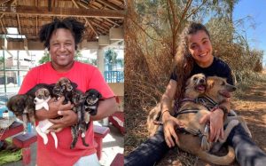 Várias pessoas ajudam animais.